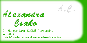 alexandra csako business card